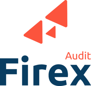 Les sociétés du groupe FIREX - Firex